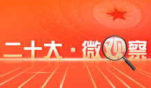二十大微观察